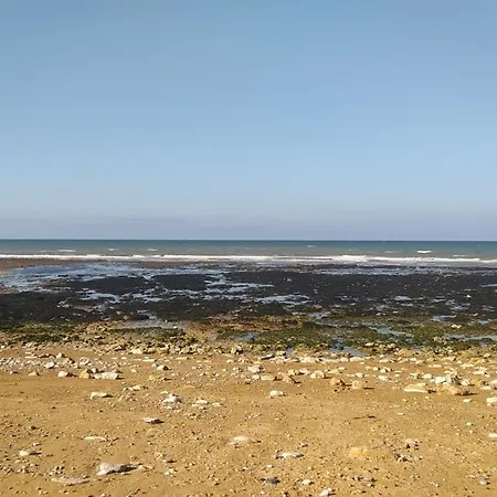 La Ruee Vers L'aure * Sainte-Honorine-des-Pertes