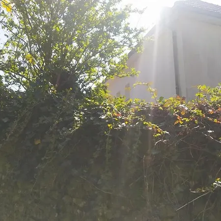 Holiday home La Ruee Vers L'aure Sainte-Honorine-des-Pertes
