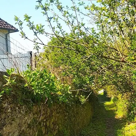 La Ruee Vers L'aure