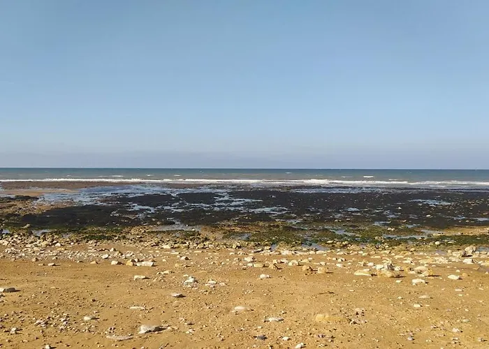 La Ruee Vers L'aure * Sainte-Honorine-des-Pertes