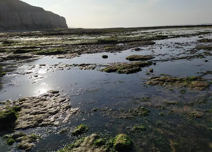 La Ruee Vers L'aure Sainte-Honorine-des-Pertes